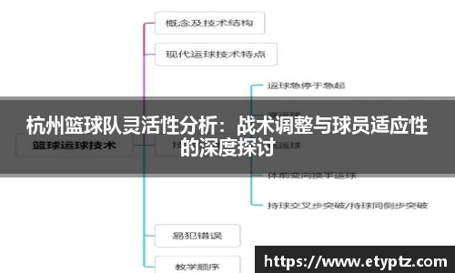 杭州篮球队灵活性分析：战术调整与球员适应性的深度探讨